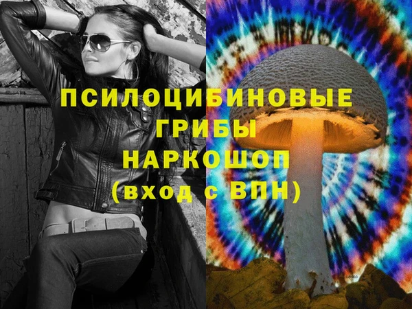 прущие грибы Богородицк