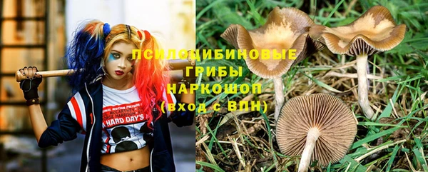мяу мяу кристалл Богданович