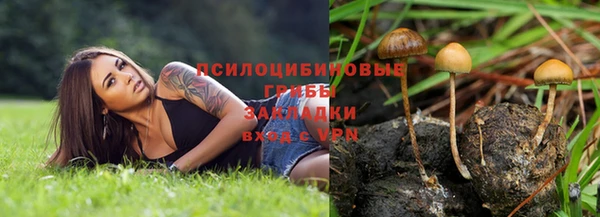 герыч Пестово