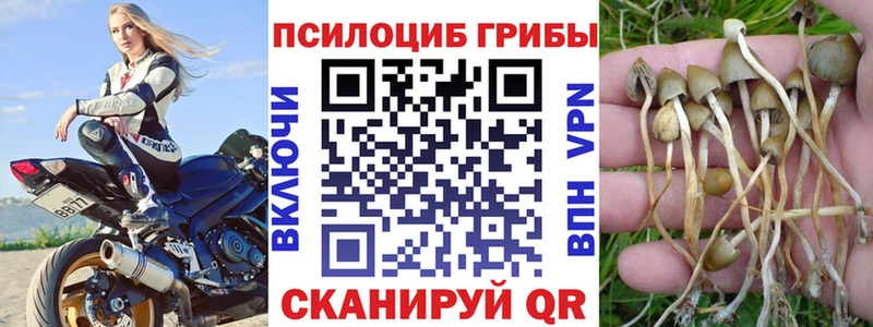 Галлюциногенные грибы Cubensis  Берёзовский 